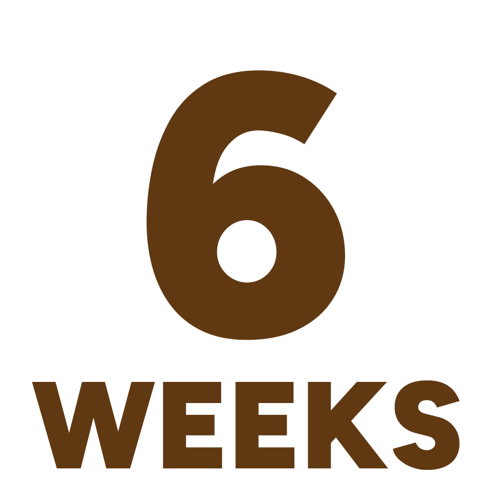 6&nbsp;Weeks Feature Logo